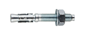 Wedge Anchor with Hex Nut & Washer